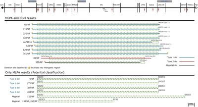 Genotype-Phenotype Associations in Patients With Type-1, Type-2, and Atypical NF1 Microdeletions